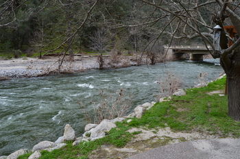 Red Bud Lodge El Portal Exteriör bild